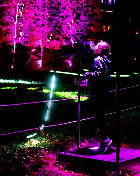 Lumières en Seine», un spectacle féerique qui sublime le domaine de  Saint-Cloud - Le Parisien